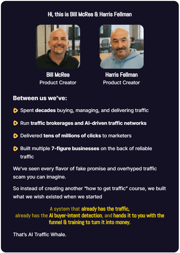 AI Traffic Whale product founders