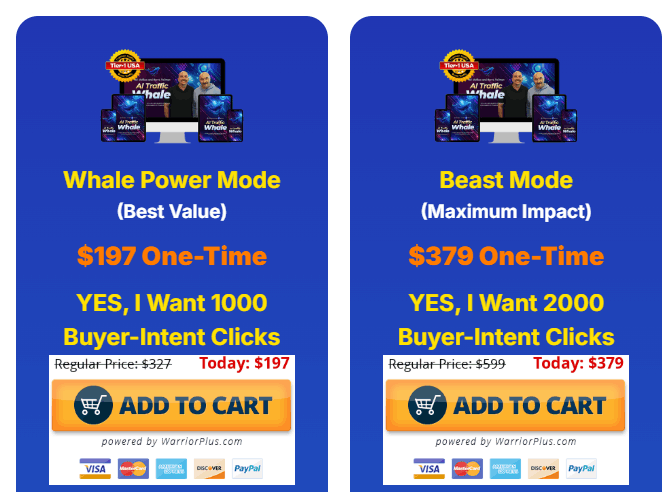 Screenshot of AI Traffic Whale checkout order form with package selected